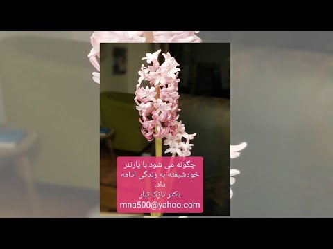 چگونه می توانم در رابطه با پارتنر خودشیفته بمانم؟