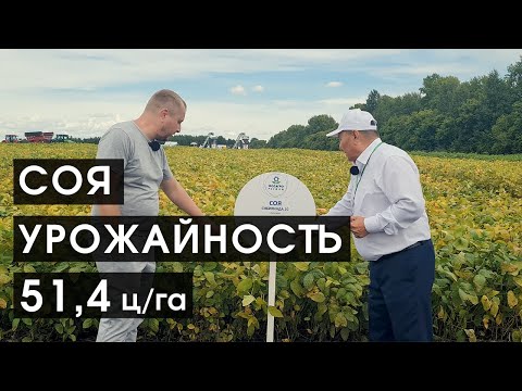 Soybeans in Siberia: Advice from a Leading Breeder