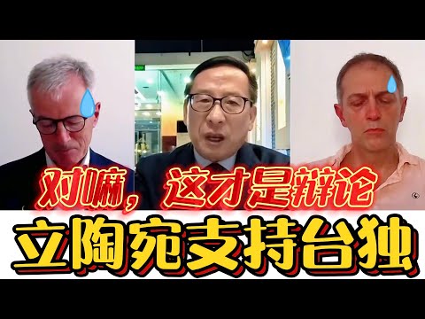 高志凯半岛电视台激辩！立陶宛支持台独，就是踩高压线！欧洲啥时候才能独立自主？#高志凯#台湾#辩论#访谈