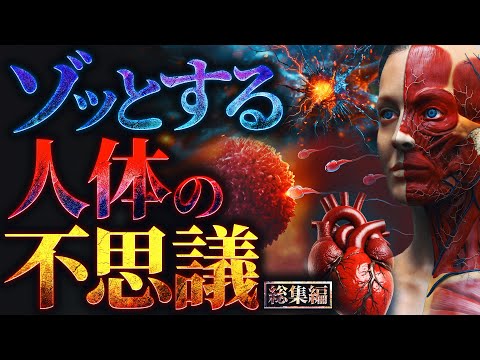【雑学】眠れない夜に聴きたいゾッとする人体の不思議【勉強や作業中にもおすすめ】