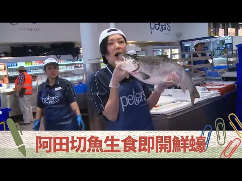 田蕊妮悉尼魚市場賣魚 冰鮮凍到雙手發紫!｜學魚生切片Hard sell成品｜品嚐即開澳洲石蠔｜超齡打工假期 田蕊妮