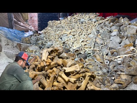 The Incredible Process of Recycling Millions of Animal Bones and Turning Them into Jacket Buttons 🔘