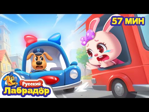 Не садитесь в машину к незнакомцам!｜Безопасность детей｜Популярный сборник мультиков｜Шериф Лабрадор
