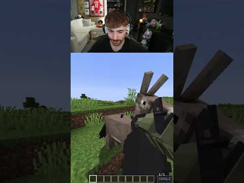 @DaquavisMC Minecraft mini hide and seek