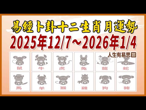 🌟十二生肖易經卜卦每月運勢，2025年12/7-2026年1/4運勢分析大洗牌！(農曆十一月令）｜人生有易思