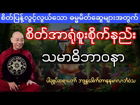 စိတ်အာရုံစုစည်းဖို့ သမာဓိဘာဝနာ ဝိပဿနာရှုနည်း#ပါချုပ်ဆရာတော်တရားများစုစည်းရာ #တရားတော်များ 