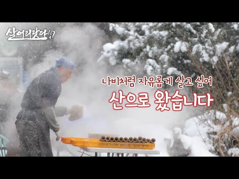(전남 함평) 차(茶, Tea) 덖는 풍경, 나비같은 삶, 차같은 인생! ktv, koreatv, tea, mountain (시즌4)