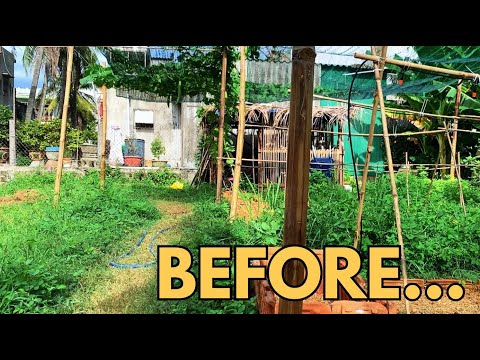 Clean up the weedy garden after more than a month of rain.