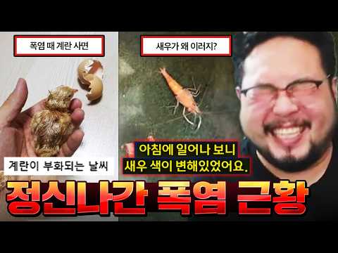 밖에다 계란을 냅두면 부화가 되는 미친 날씨 근황 ㅋㅋㅋㅋㅋ 쪄죽을 것 같은 폭염 모음집 레전드 ㅋㅋㅋㅋㅋ