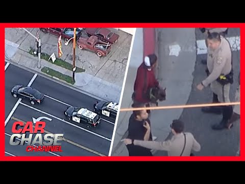 Car Chase: Reckless DUI suspect and french bulldog surrender to authorities | Car Chase Channel