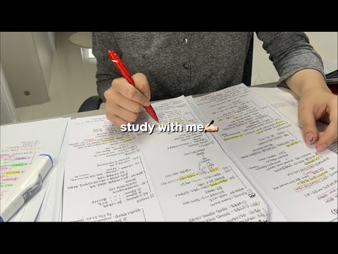 [의대생 스터디윗미] 시험 전날이다아🔥 4 Hour Study with me (real time, no music)