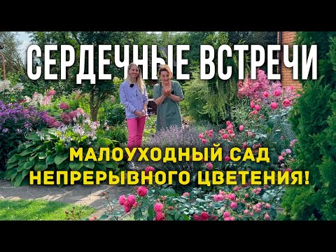 Проект "Сердечные встречи". Людмила Кудасова: как создать малоуходный сад. Секреты цветущего сада.