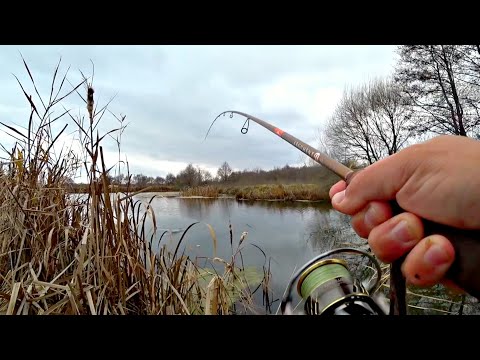 ЭТО ЖЕСТЬ, НАШЕЛ ЩУЧЬЕ ЛОГОВО В МИКРО РЕЧКЕ, где рыба клюет на каждом забросе. Рыбалка на спиннинг