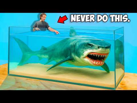 Buying the Rarest Shark I've Ever Owned Off The Web...