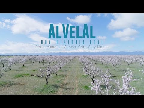 Regeneration - The Story of AlVelAl