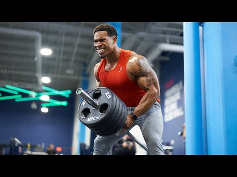 PULL DAY - BACK/LAT FOCUSED