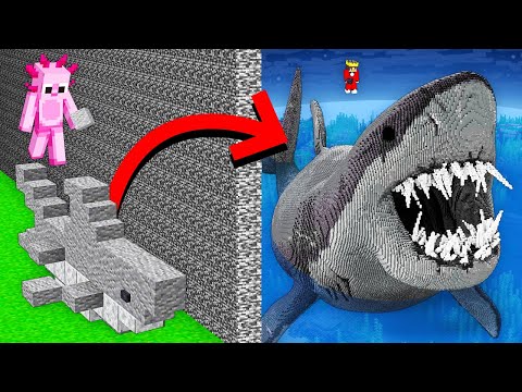 I Cheated With MEGLAODON SHARK in Minecraft Build Battle!
