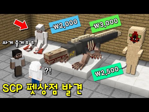 초보만 이용 가능한 'SCP 펫상점' 발견! SCP괴물을 무조건 복종하는 펫으로? 고수 참교육ㄱㄱ [마인크래프트]