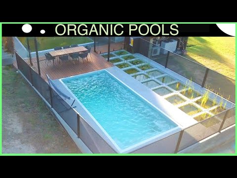 You've Never Seen a Natural Pool Like This...