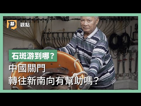 石斑如果失去中國市場，還能銷去哪？八年新南向是活路嗎？｜公視P# 新聞實驗室