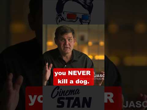 John Wick broke one of Hollywood's biggest rules #johnwick #hollywood #dog #film