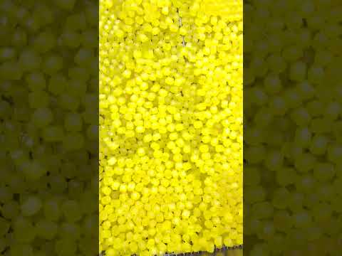 飴づくり How to make candy　七色のあめ #candy #rainbow  #konekone #和菓子 #レインボー #asmr