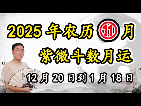 紫微斗数月运2025年12月20日到1月18日，阴历十一月