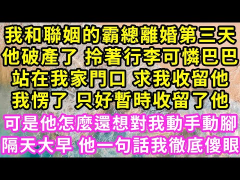 我和聯姻的霸總離婚第三天，他破產了 拎著行李可憐巴巴，站在我家門口 求我收留他，我愣了 只好暫時收留了他，可是他怎麼還想對我動手動腳，隔天大早 他一句話我徹底傻眼#甜寵#灰姑娘#霸道總裁#愛情#婚姻