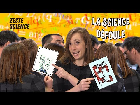 Comment modéliser une foule mathématiquement ? | ZdS#25