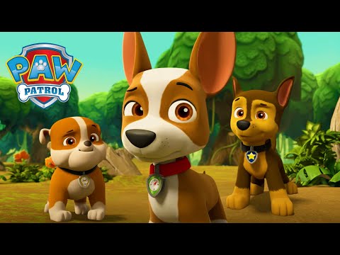 Salvarea pinguinului de către Tracker! 🐧 - PAW Patrol - Desene animate pentru copii