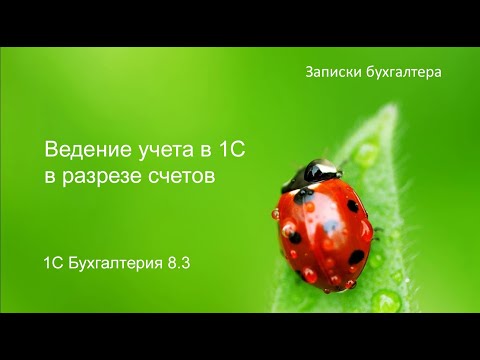 Ведение учета в 1С в разрезе счетов