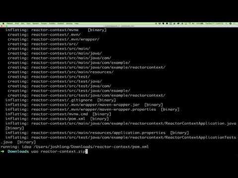 Spring Tips: The Reactor Context