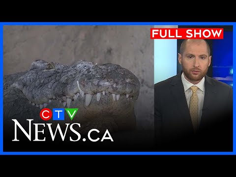 London reptile zoo at the centre of legal dispute | CTV News London at Six for Friday, June 27, 2025