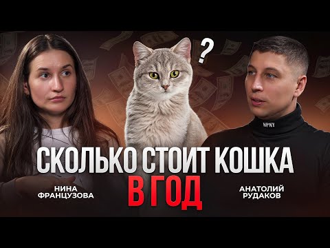 Сколько стоит счастливая кошка? Полный гид для будущих и нынешних владельцев с Ниной Французовой