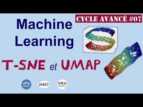 Méthodes t-SNE et UMAP pour visualisation et réduction de dimension | Cycle avancé IA #7