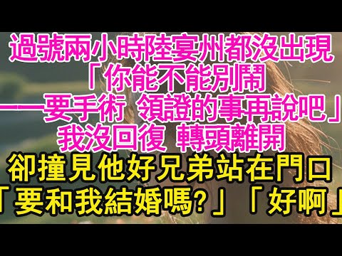 過號兩小時陸宴州都沒出現，「你能不能別鬧，一一要手術 領證的事再說吧」我沒回復 轉頭離開，卻撞見他好兄弟站在門口，「要和我結婚嗎？」「好啊」【琉璃】【甜寵】【霸總】