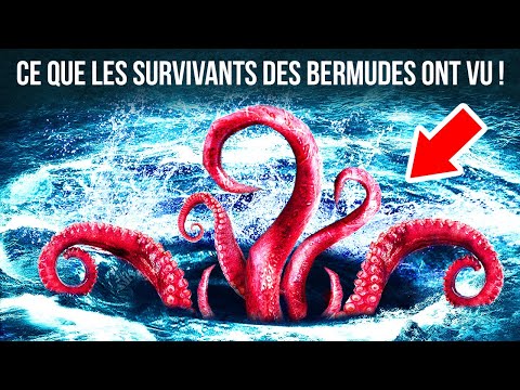 Des Créatures Géantes Pourraient Couler des Navires Dans le Triangle des Bermudes