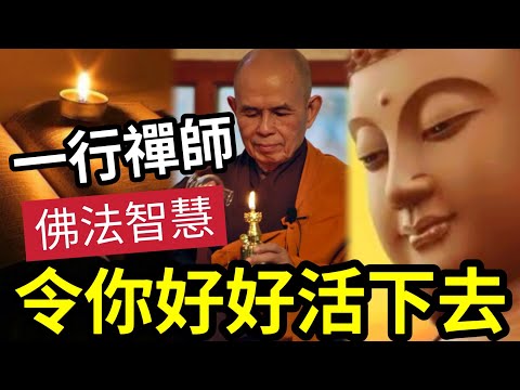 #佛禪 必聽！一行禪師「你不能不懂」近代佛法之王！道理簡單易明！能令你「以後好好活下去」#一行禪師答問