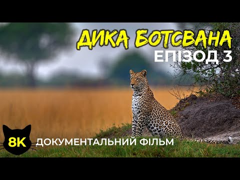 Botswana Wildlife in 8K - Interesting Facts About Southern African Animals - Part 3