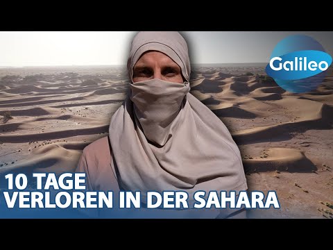 Real Survivor: Überlebenskampf allein in der Wüste!