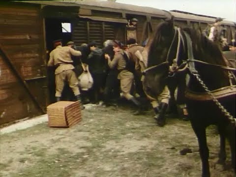 Страчені світанки (фільм про УПА)