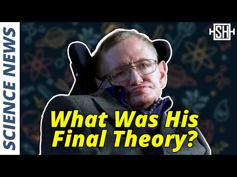 What was Stephen Hawking’s Final Theory?