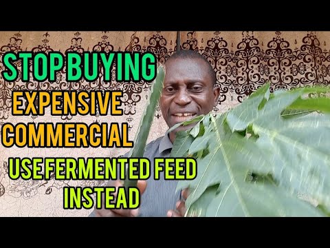 STOP WASTING MONEY ON EXPENSIVE COMMERCIAL FEED! TRY THIS INSTEAD!
