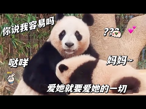 來看看愛寶是怎麽一把屎一把尿，把三個閨女拉扯大的，太不容易了