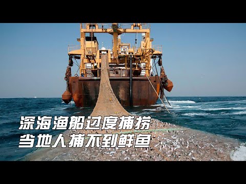 大型深海渔船过度捕捞，导致当地渔民捕不到金枪鱼，只好吃鱼罐头