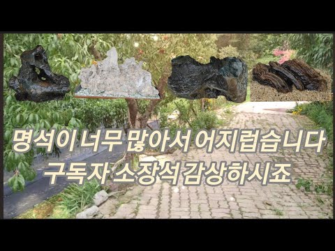 [수석 소개] 명석이 너무 많습니다. 구독자 이수영님의 소장석들을 소개합니다. 1편