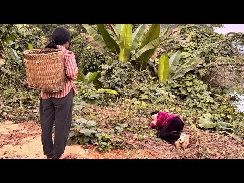 The Kindness of a Childless Woman Rescues an Elderly Woman Who Fainted on the Street