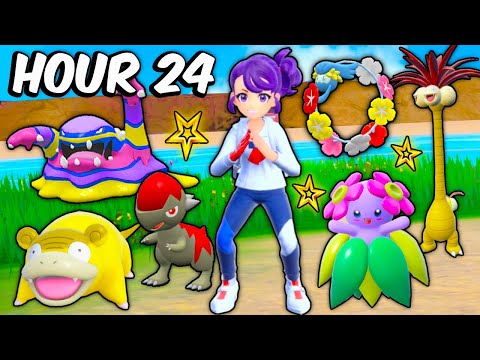 I Spent 24 Hours SHINY Hunting in The Indigo Disk DLC!