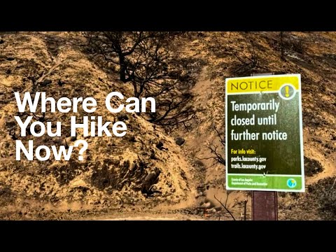 Eaton Fire, Palisade Fire, Line Fire Closure Updates (Spring 2025)