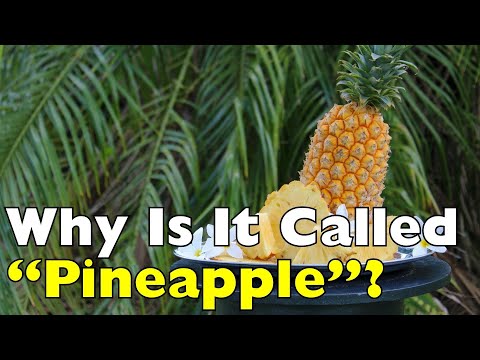 The Strange Story Behind “Pineapple”